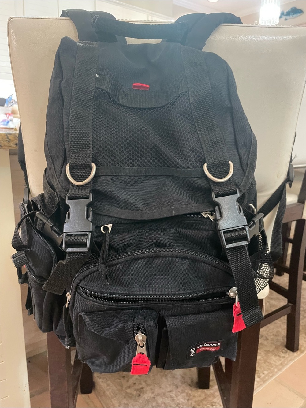 Coldwater Canyon black and red Backpack with Multiple Pockets